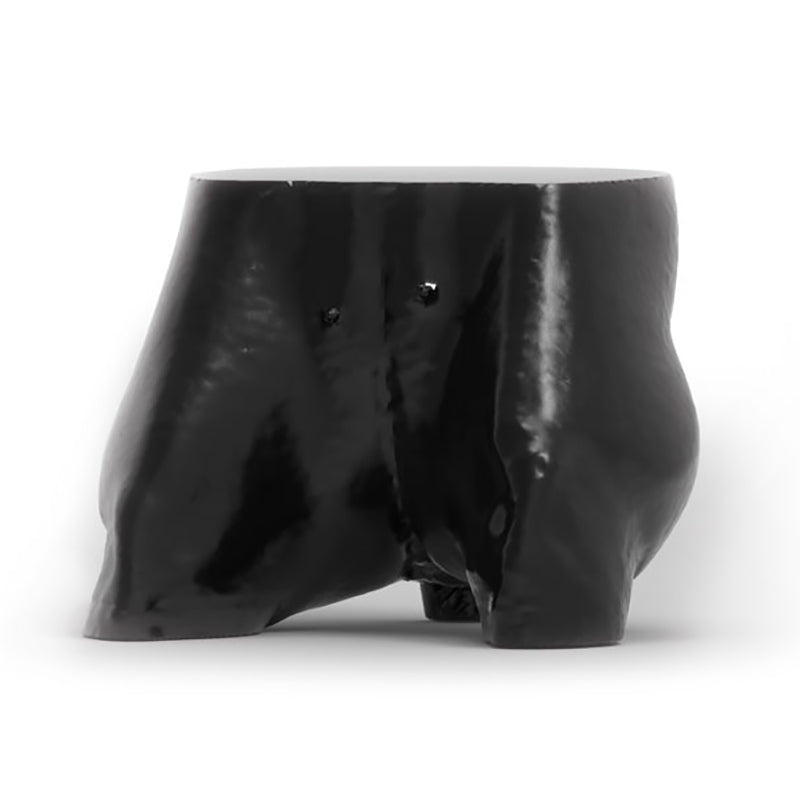 Dog Pelvis Phantom for CT Scan & X-Ray Training - Veterinary Radiology Practice, Canine Anatomy Study, Medical Imaging Education