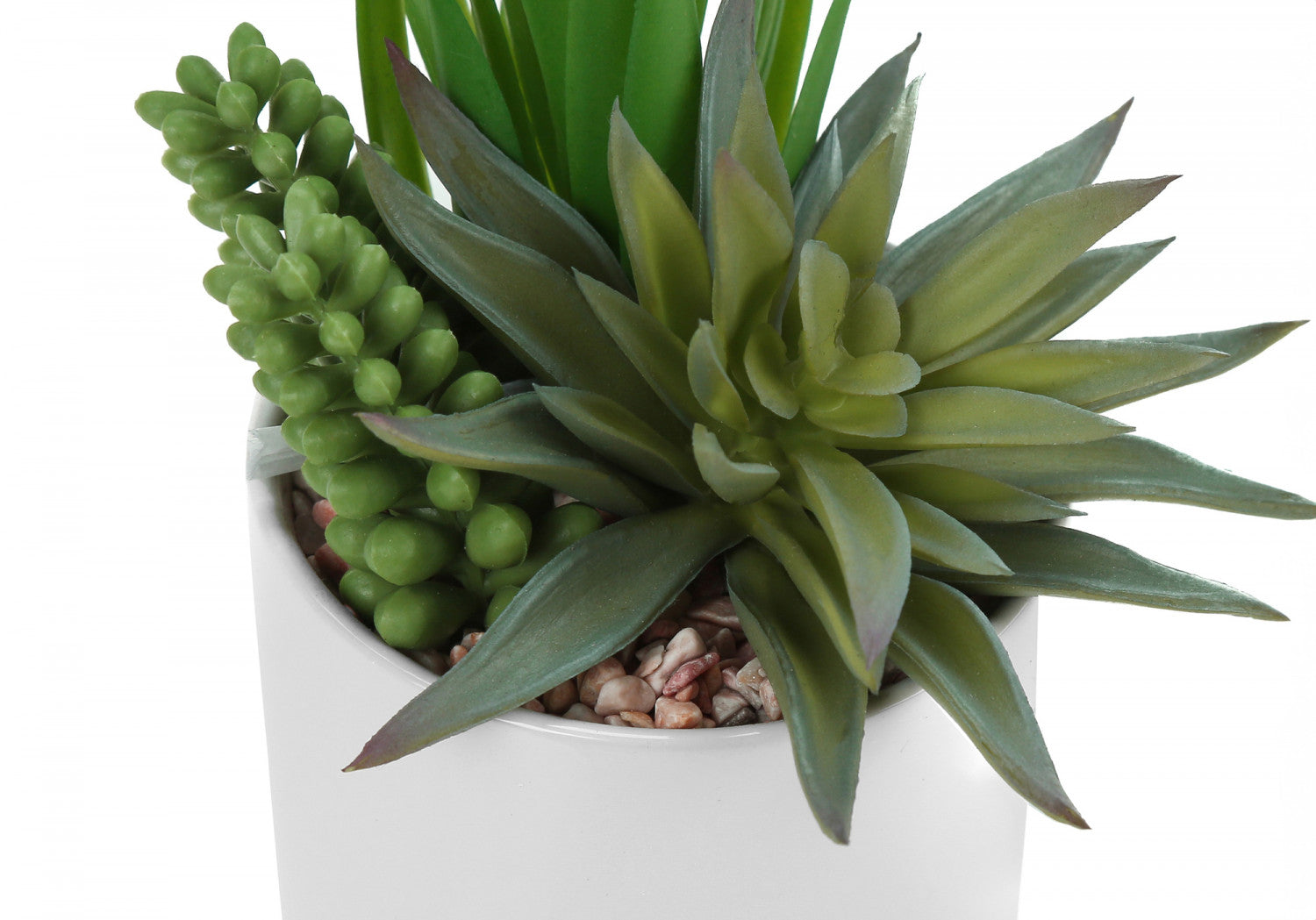 7 Succulent Plants with 3 White Pots - Green Indoor Garden Set of 2 | Perfect for Home Decor, Office Desk & Gift Giving