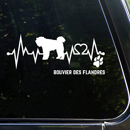 Bouvier Des Flandres