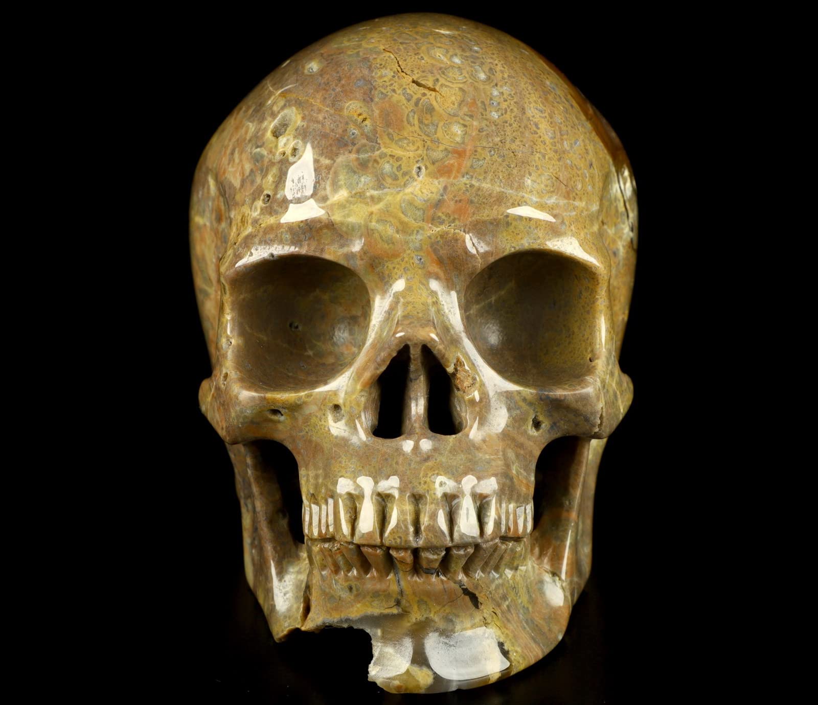 5.0” Hand-Carved Dinosaur Egg Agate Crystal Skull - Realistic Gemstone Sculpture for Meditation, Reiki Healing & Home Decor | Natural Healing Stone Artwork for Spiritual Practice & Office Display