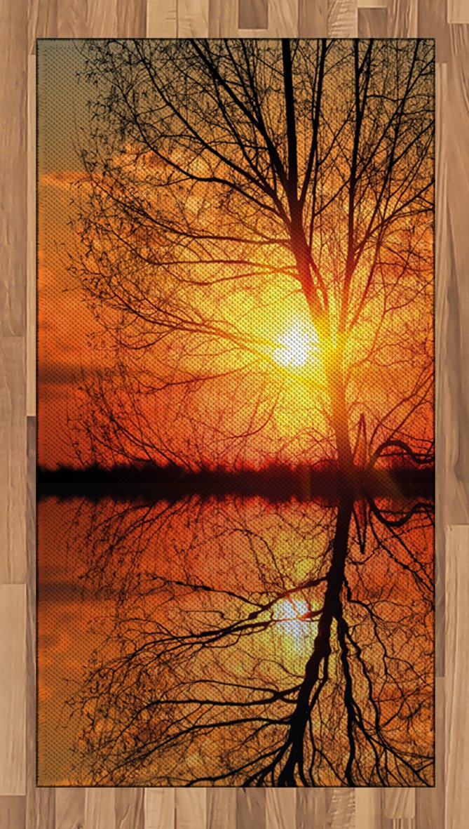 Ambesonne Autumn Area Rug - Leafless Tree in Fall Sunset with Water Reflection, Flat Woven Accent Rug for Living Room, Bedroom, Dining Room - 2'6