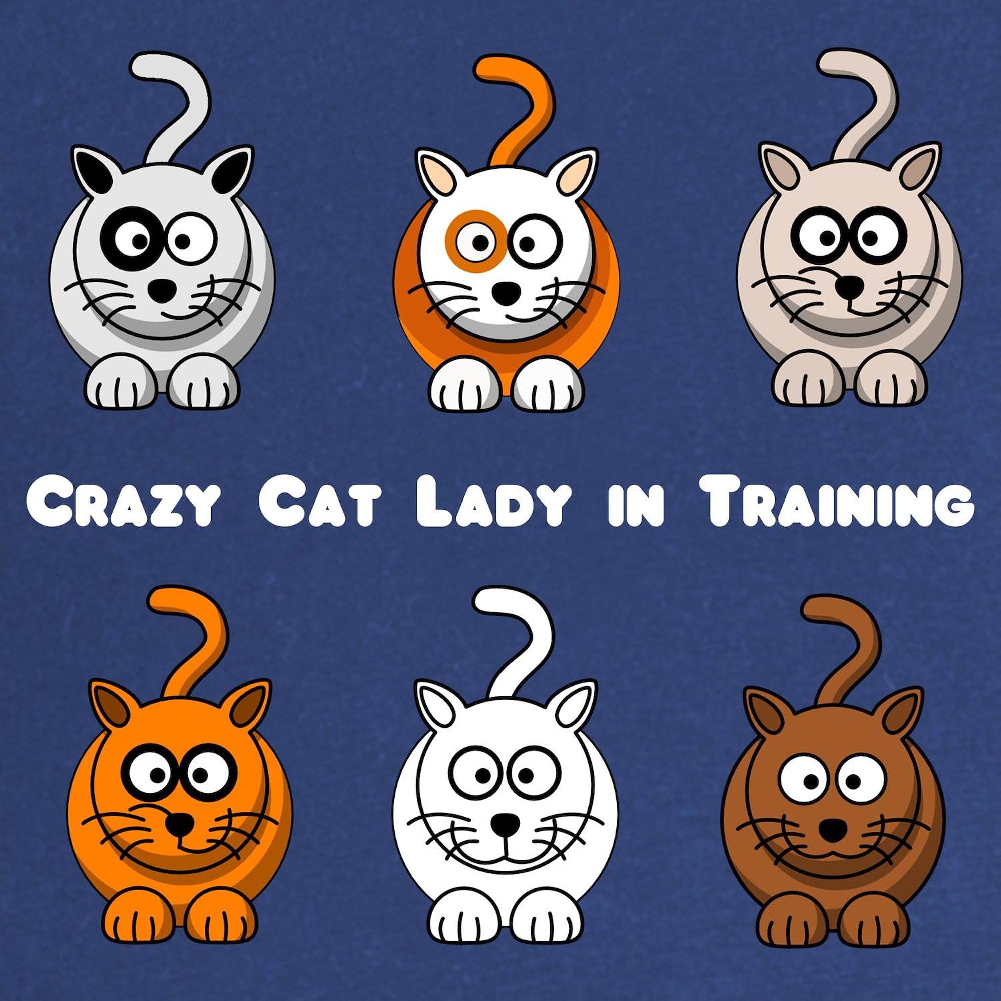 Crazy Cat Lady in Training Maternity T-Shirt - Women's Ruched Side Dark Tee for Pregnancy | Comfortable & Stylish Maternity Wear for Cat Lovers, Perfect for Casual Outings & Baby Showers