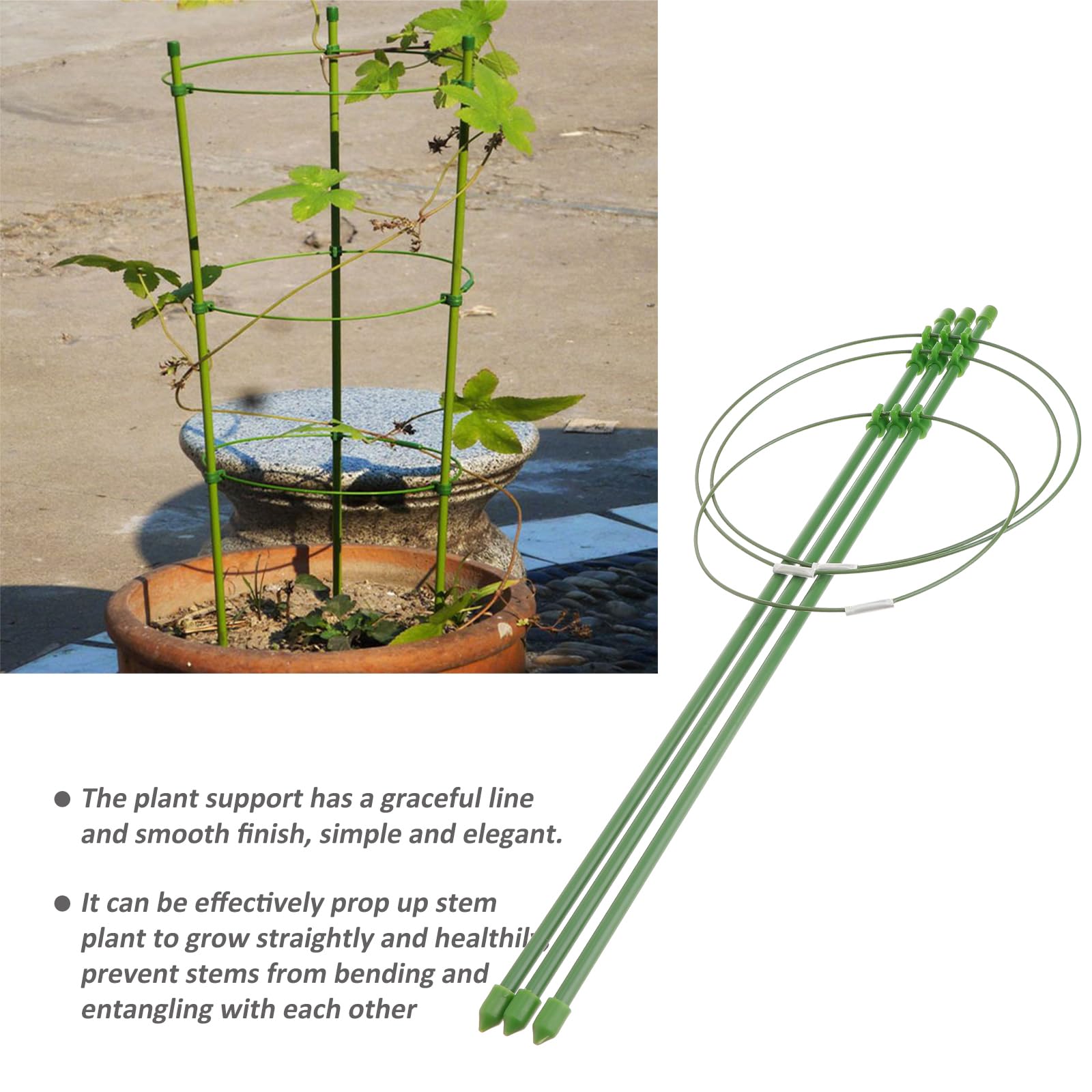 2 Pack Tomato Plant Cages - Heavy Duty Garden Stake Supports for Tomatoes, Climbing Plants, Flowers & Small Plants | Sturdy Trellis Rings for Outdoor Gardening & Backyard Planting