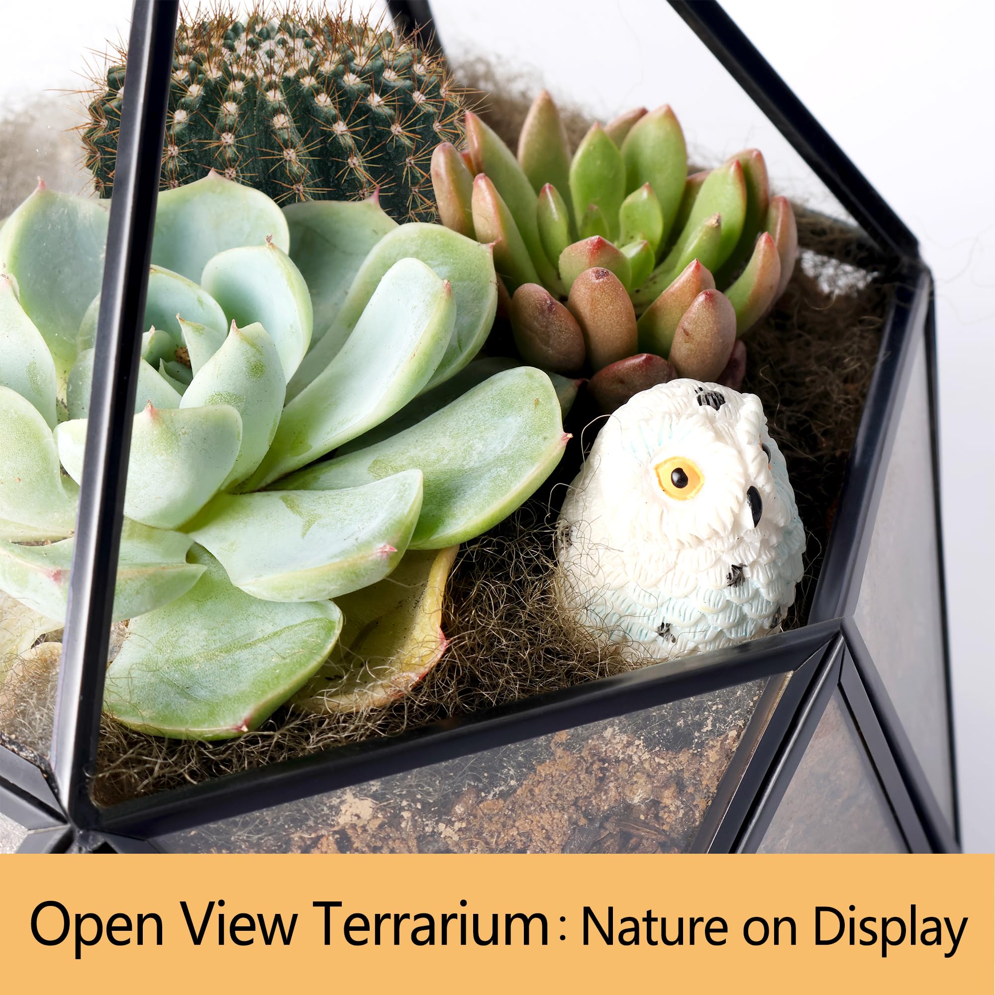 Geometric Glass Terrarium for Succulents & Air Plants - Black Hanging Planter - Perfect for Home Decor, Office Desk, and Wedding Centerpieces (No Plants Included)