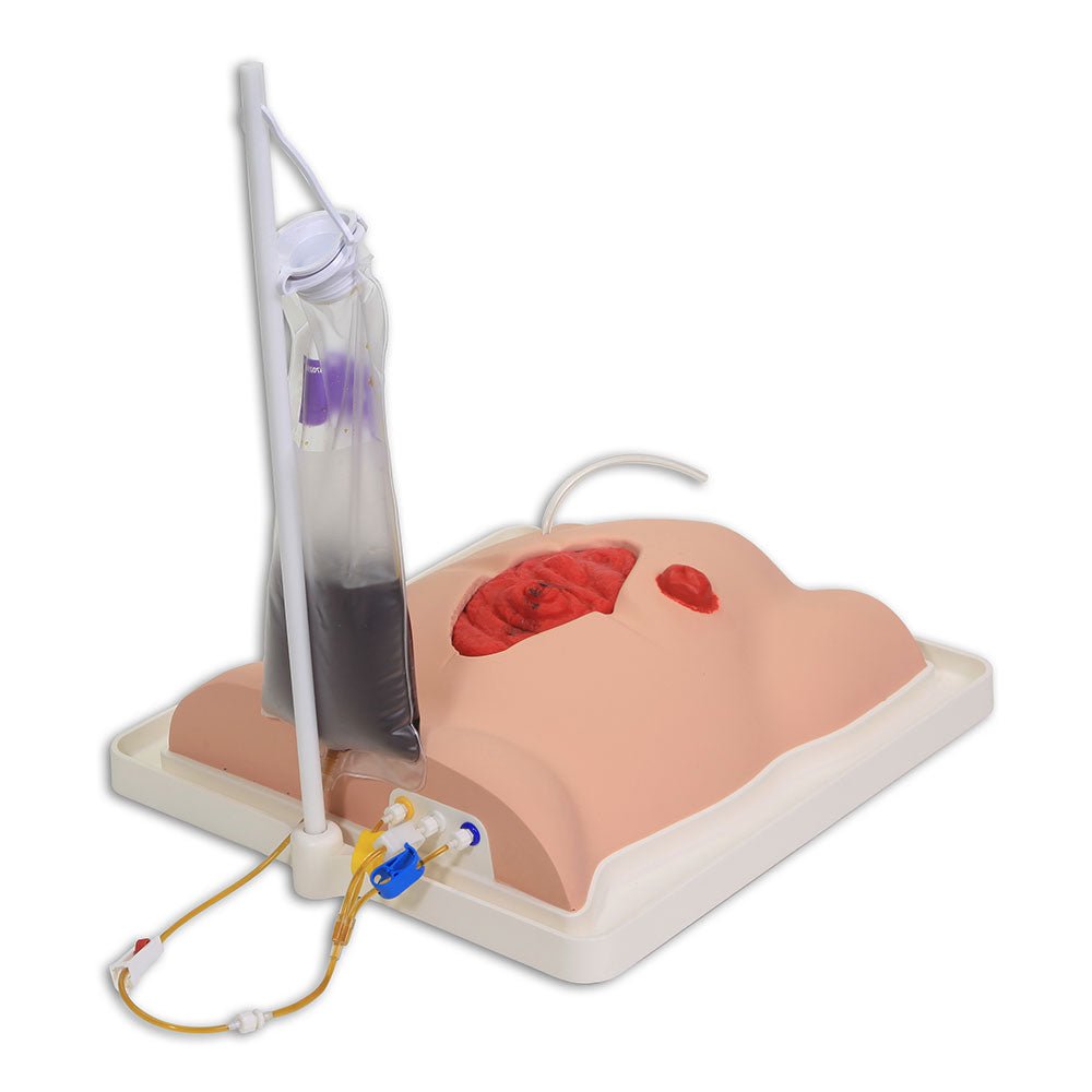 Freddie Fistula™ Hemodialysis Skills Trainer Kit with Carrying Case - Perfect for Nursing Students & Dialysis Training Practice