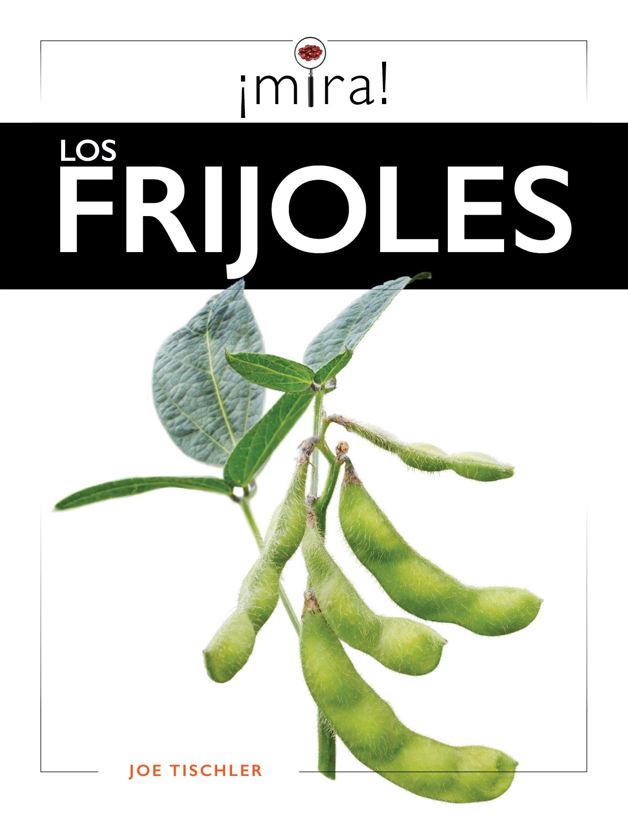 Organic Black Beans 16oz - Non-GMO, Gluten-Free, High Protein & Fiber - Perfect for Soups, Salads, and Mexican Dishes