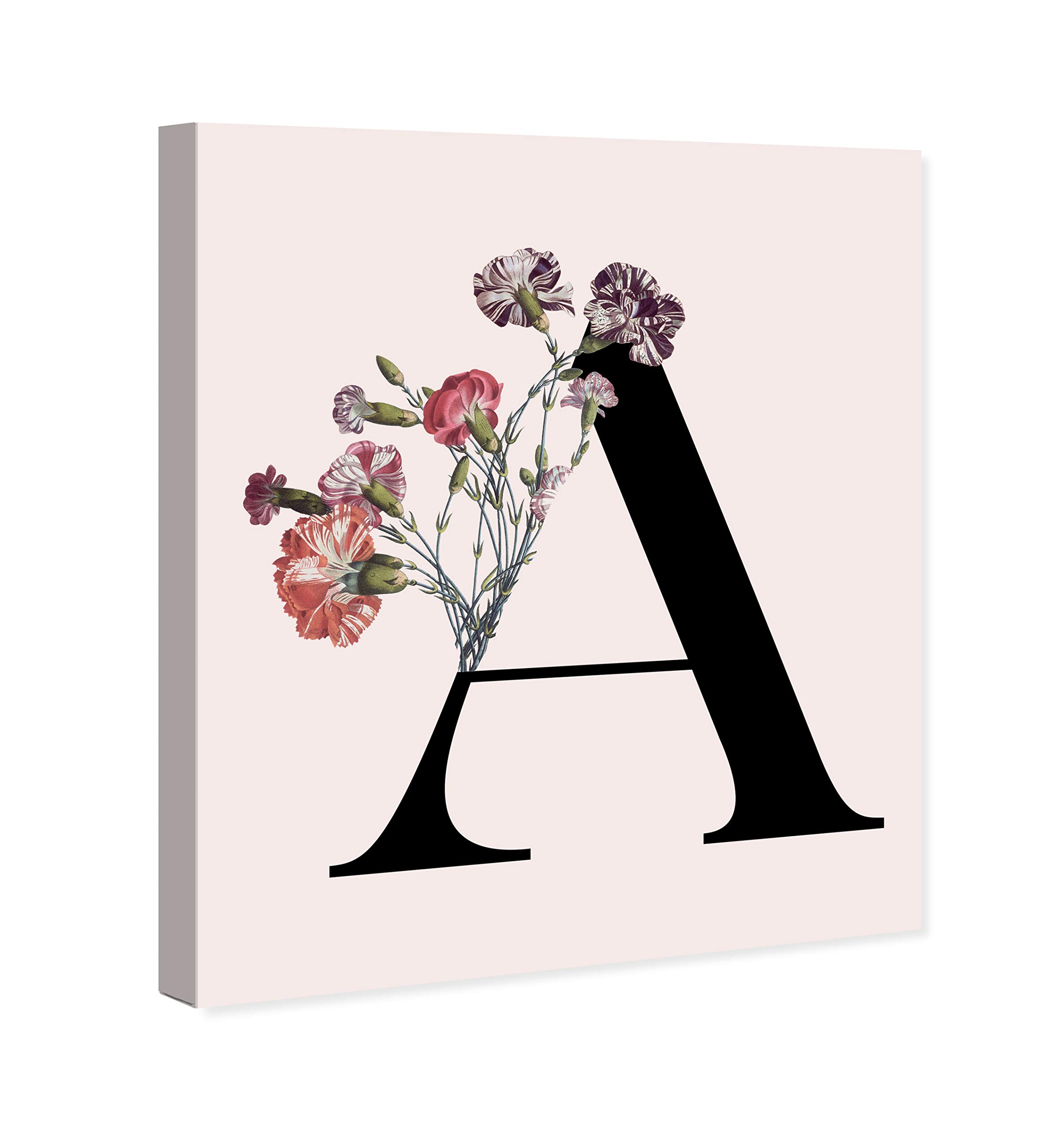 Botanical A Pink & Black Wall Art Canvas Print - 36