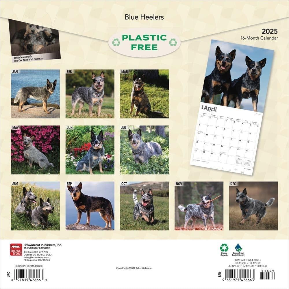 2025 Brown Trout & Blue Heelers Wall Calendar - Fishing & Dog Lovers Monthly Planner for Home, Office, or Gift
