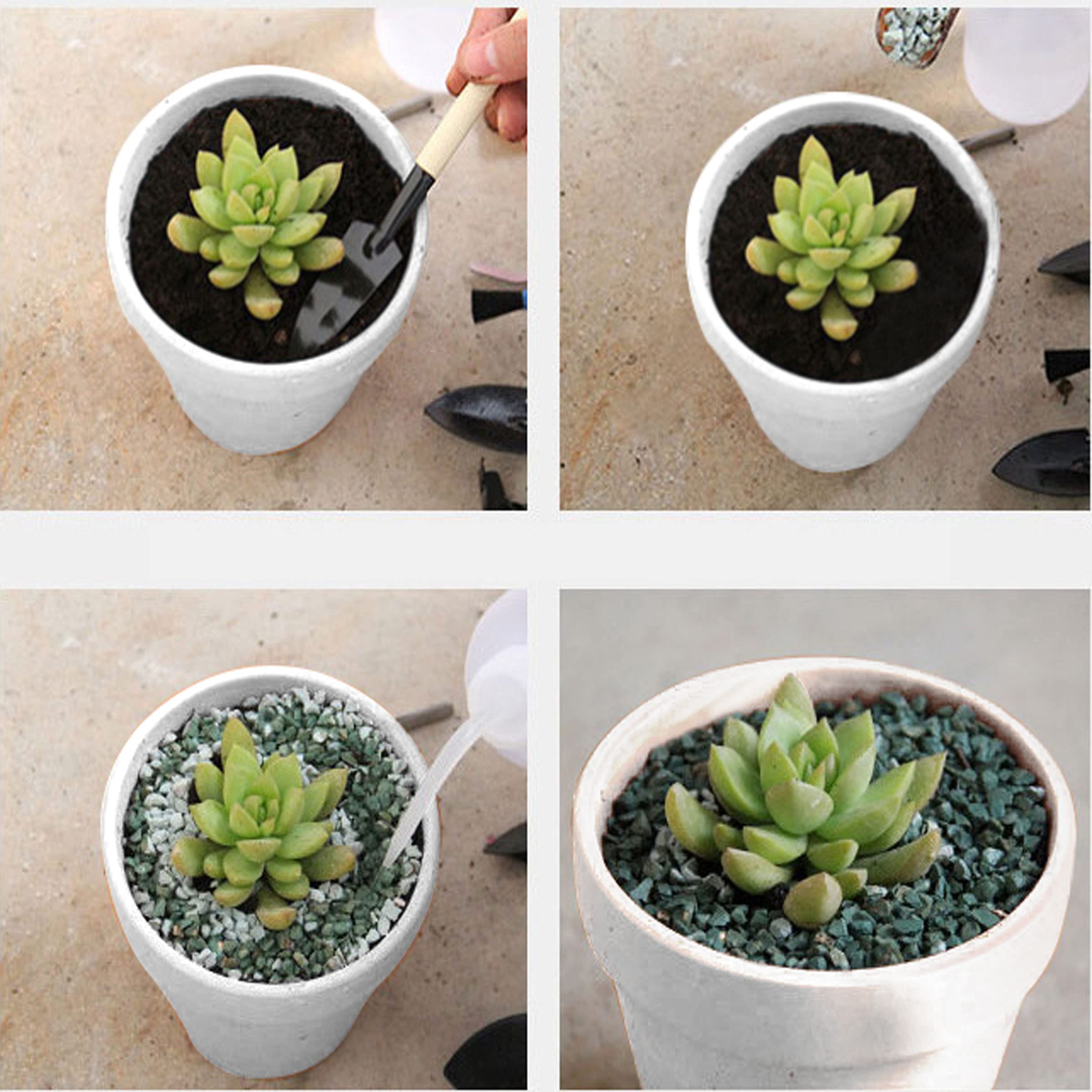 3-Inch Mini Terracotta Flower Pots with Drainage Holes - White Ceramic Planters for Indoor Plants, Succulents, Herbs & Flowers (Plants Not Included) - Perfect for Windowsills, Office Desks & Home Decor (Pack of 40)