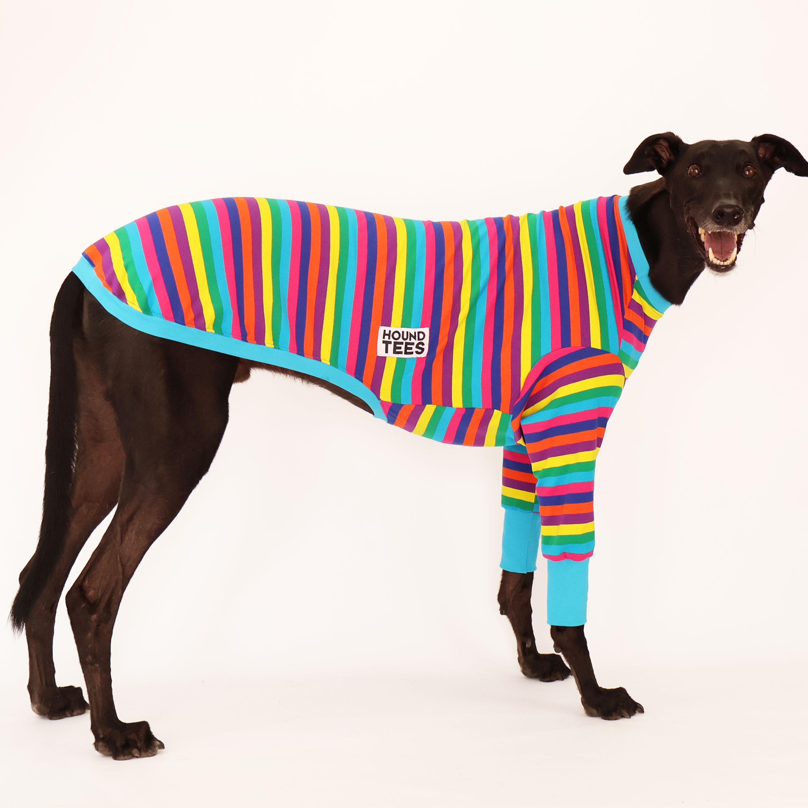 Stylish Greyhound Print Long Sleeve T-Shirt for Dog Lovers - Comfortable Casual Wear for Outdoors, Pet Events & Daily Fashion