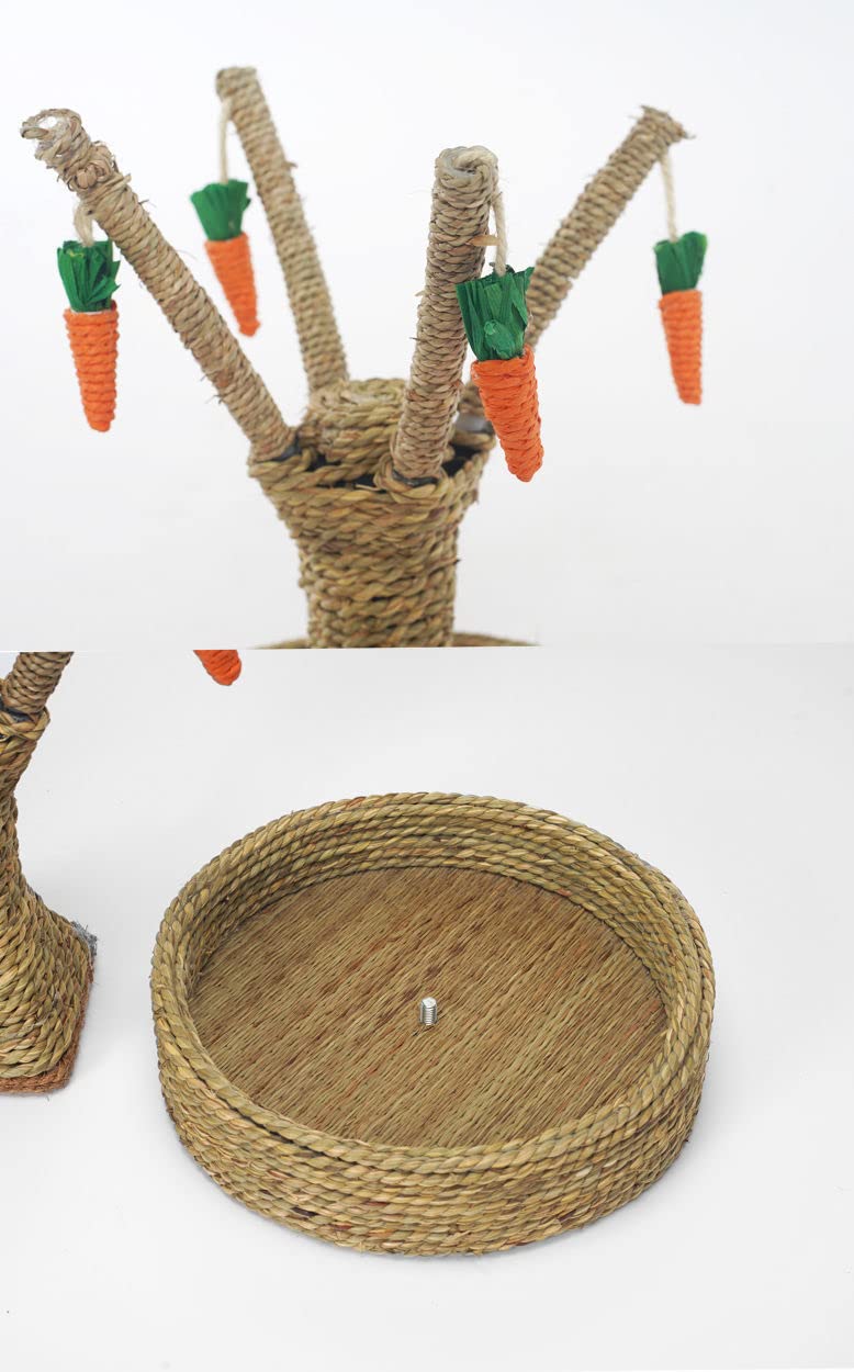 Ferret Scratcher Tree - Bunny Chew Toys for Cats & Small Animals - Rattan Grass Scratcher & Climbing Tree with Carrot Play Toys - Guinea Pig Tooth Cleaning Toy (Seagrass) - Perfect for Playtime & Dental Care