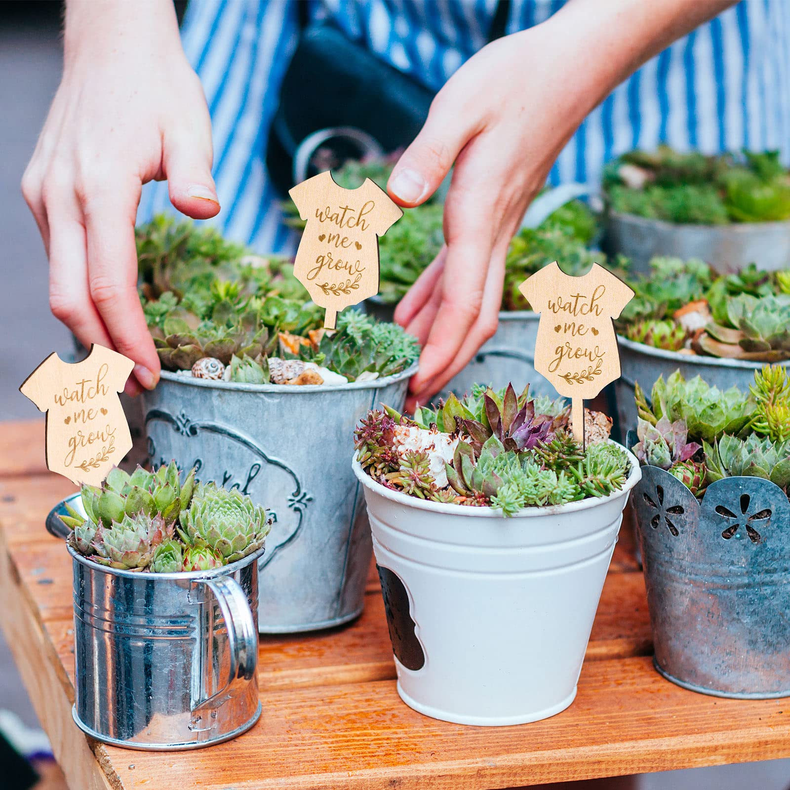 AnyDesign 30Pcs Watch Me Grow Wooden Plant Labels - Baby Shower, Succulent Garden Markers, Seedling Stakes, Teacher Appreciation & Thanksgiving Gifts - Perfect for Indoor Potted Plants, Classroom Projects, and Gardening Enthusiasts