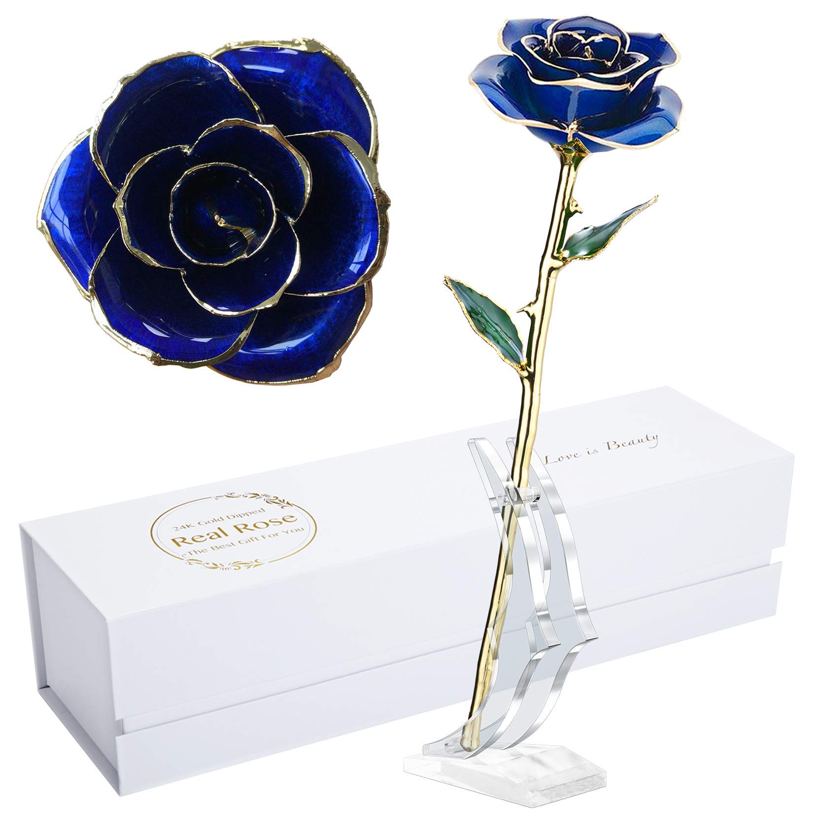 24K Gold Plated Real Fresh Long Stem Rose in Blue - Luxurious Birthday Gift for Her with Display Stand | Romantic Anniversary, Valentine's Day & Special Occasion Present