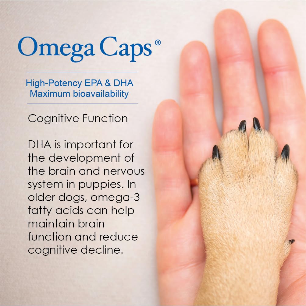 Premium Omega 3 Soft Gel Capsules for Dogs - Vet Formulated Snip Tips for Medium & Large Breeds (250 Count) | Supports Healthy Skin, Shiny Coat, Joint & Immune System | Easy to Dose Supplement for Daily Wellness & Active Lifestyle