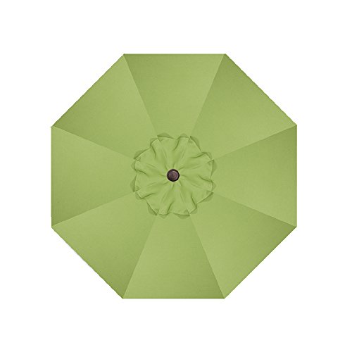 Obravia: Kiwi