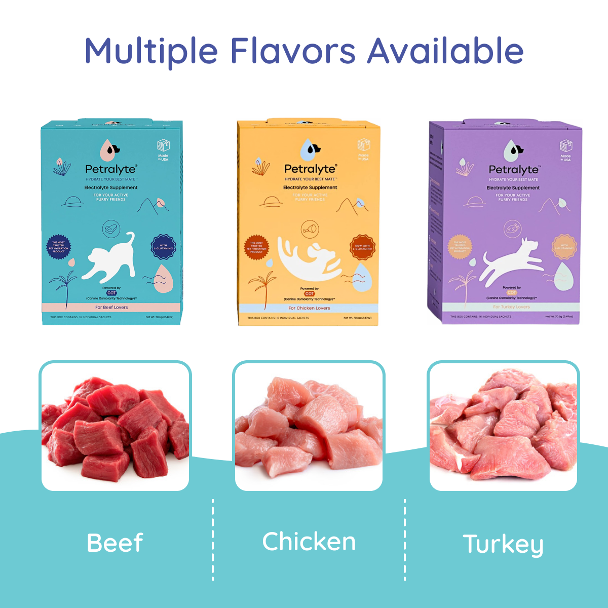 Premium Dog Electrolyte & Joint Support Supplement - Beef Flavor for Active Dogs | Post-Workout Recovery & Senior Dog Mobility Aid