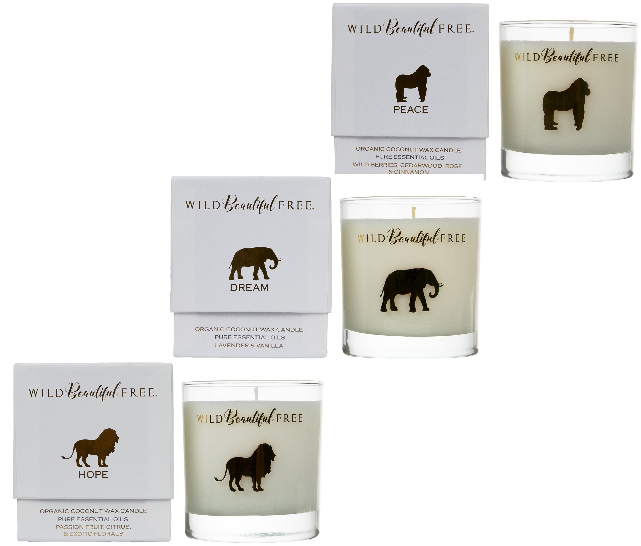 Wild Beautiful Free Organic Candle Set - Vegan Aromatherapy Candles with Pure Essential Oils & Cruelty-Free Soy Wax (3-Pack) for Relaxation, Meditation & Home Decor