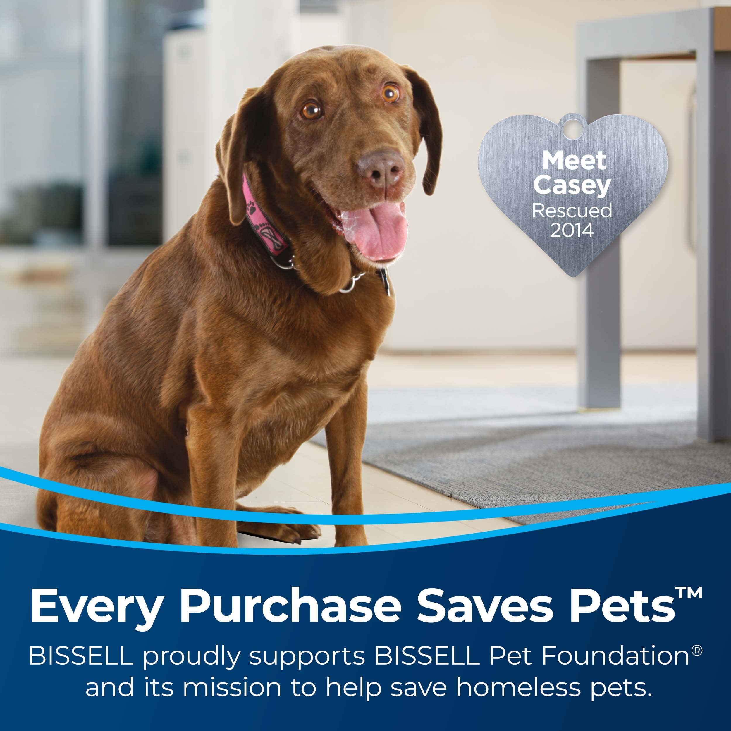 Bissell TurboClean 3548 Cordless Hard Floor Cleaner & Wet Dry Vacuum - Lightweight Mop for Tile, Wood & Laminate Floors - Perfect for Quick Spills, Pet Messes & Deep Cleaning