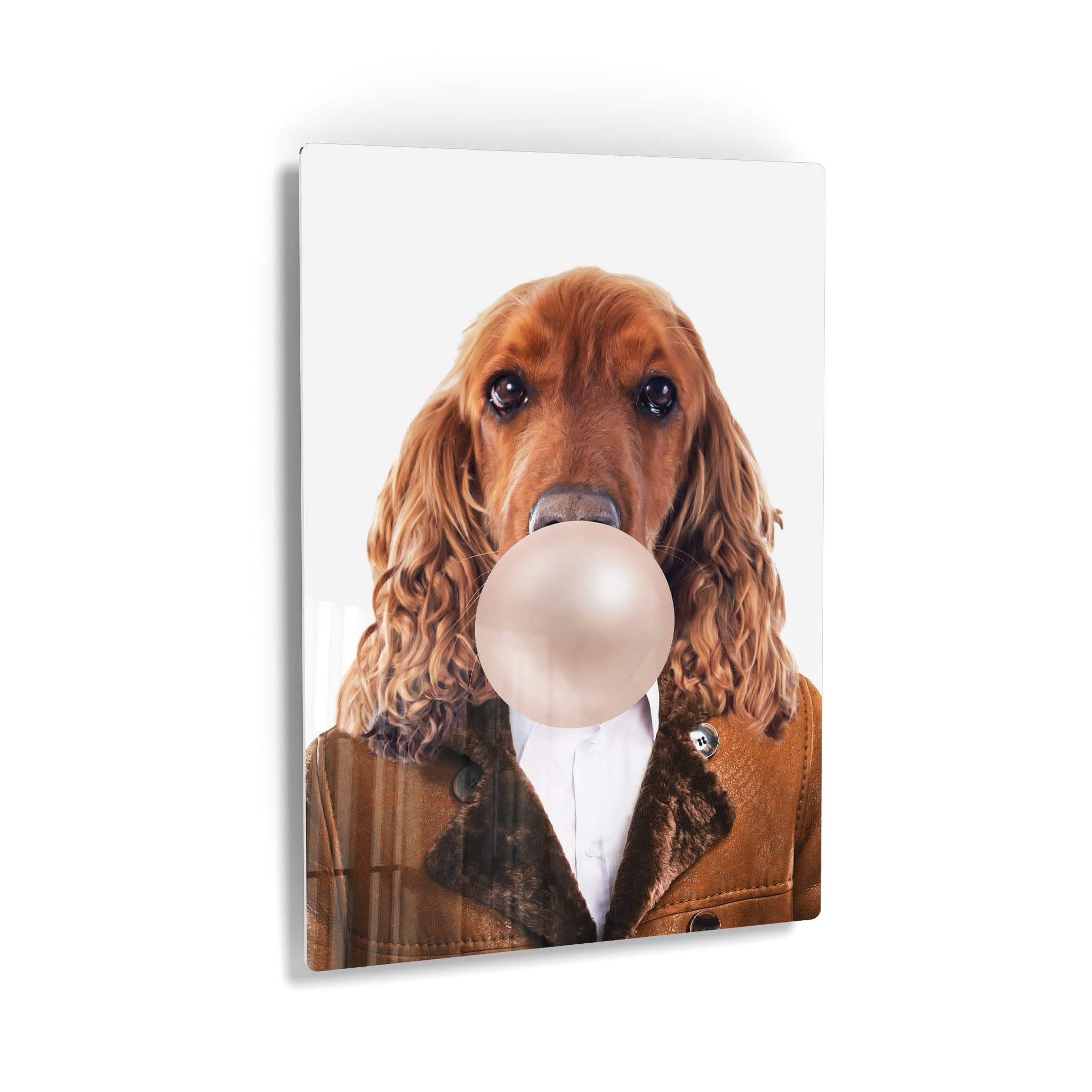 English Cocker Spaniel Dog Portrait Wall Art - Metal Print of Cute Dog Wearing Coat & Chewing Bubble Gum - Unique Pet Lover Gift, Pop Animal Art for Office, Living Room, Bedroom or Nursery Decor - 40x30 Inches - Perfect for Dog Owners & Home Interior Design