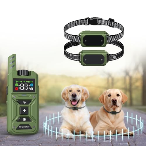 Green for 2 Dogs