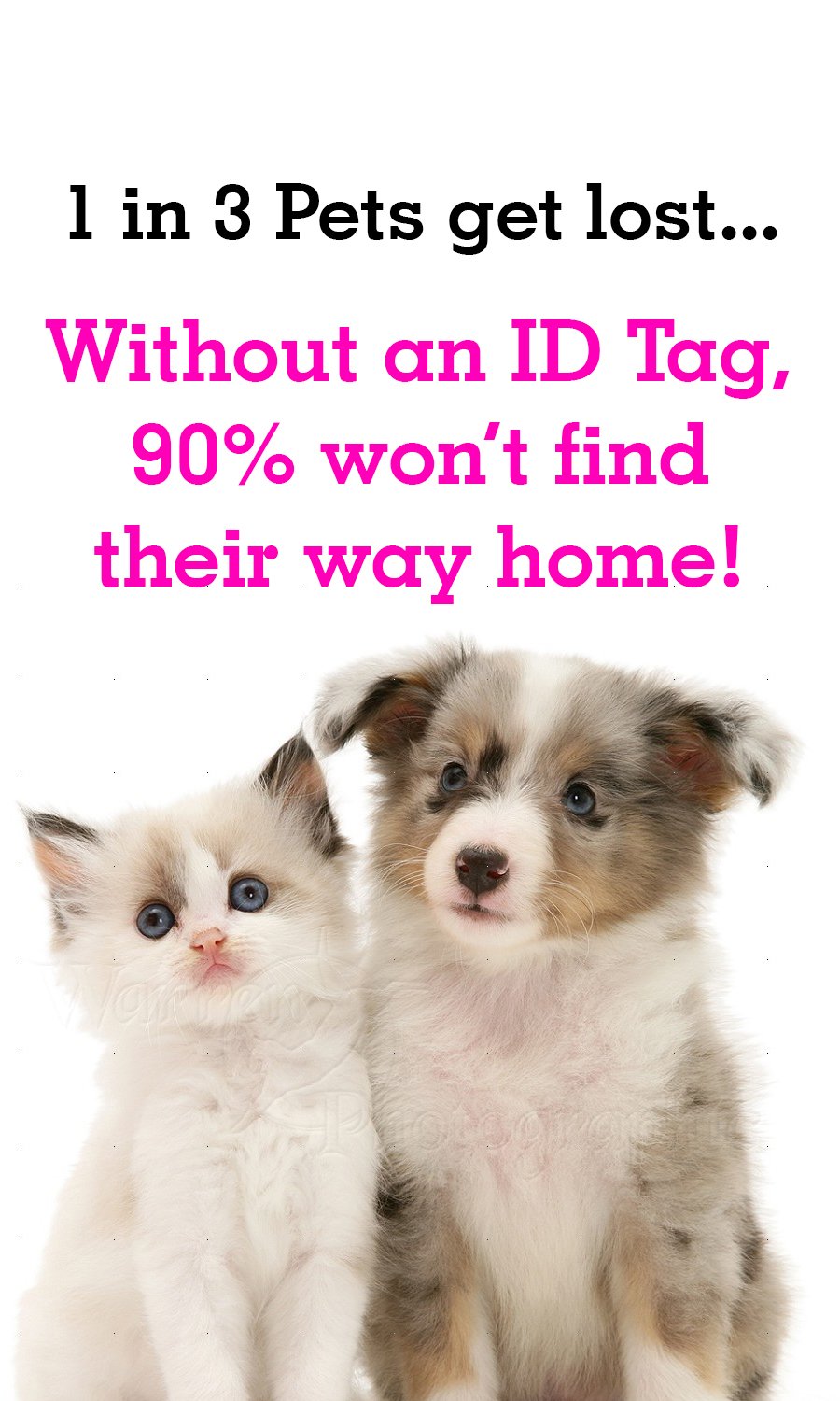 Custom Plaid Dog ID Tag - Personalized Pet Collar Accessory for Dogs & Cats