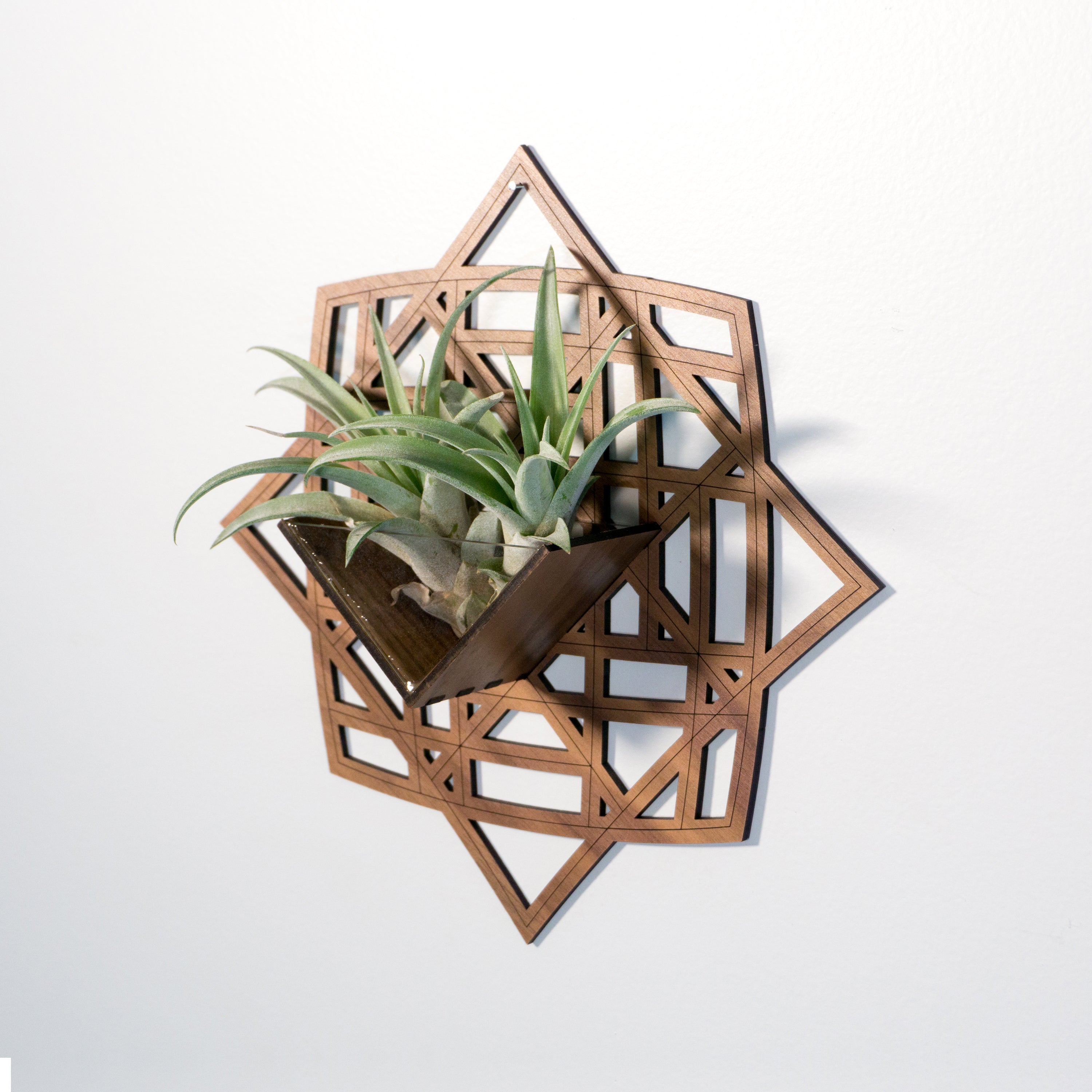 Handmade Geometric Wood Wall Hanging Planter - 3 Pack Air Plant Holder with Mounted Display Hanger | Boho Home Decor for Plant Lovers | Perfect Gift for Indoor Garden, Living Room, Bedroom & Office Decor