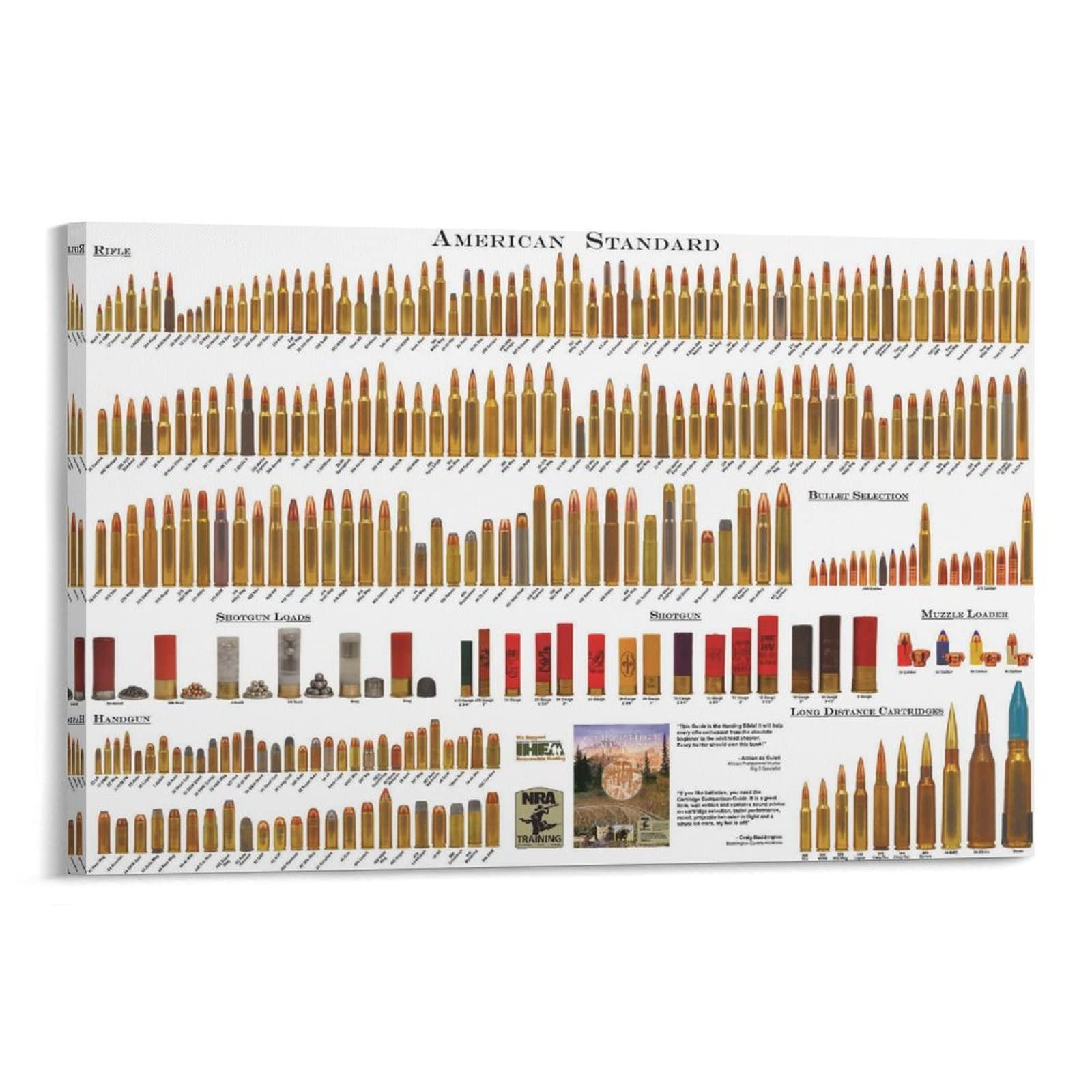 American Bullet Chart Poster - Bullet Type Educational Wall Art Print Canvas Painting for Classroom, Office & Home Decor - 20x30 Inches (50x75cm) - Perfect for Bedroom, Living Room & Study Room Wall Decoration