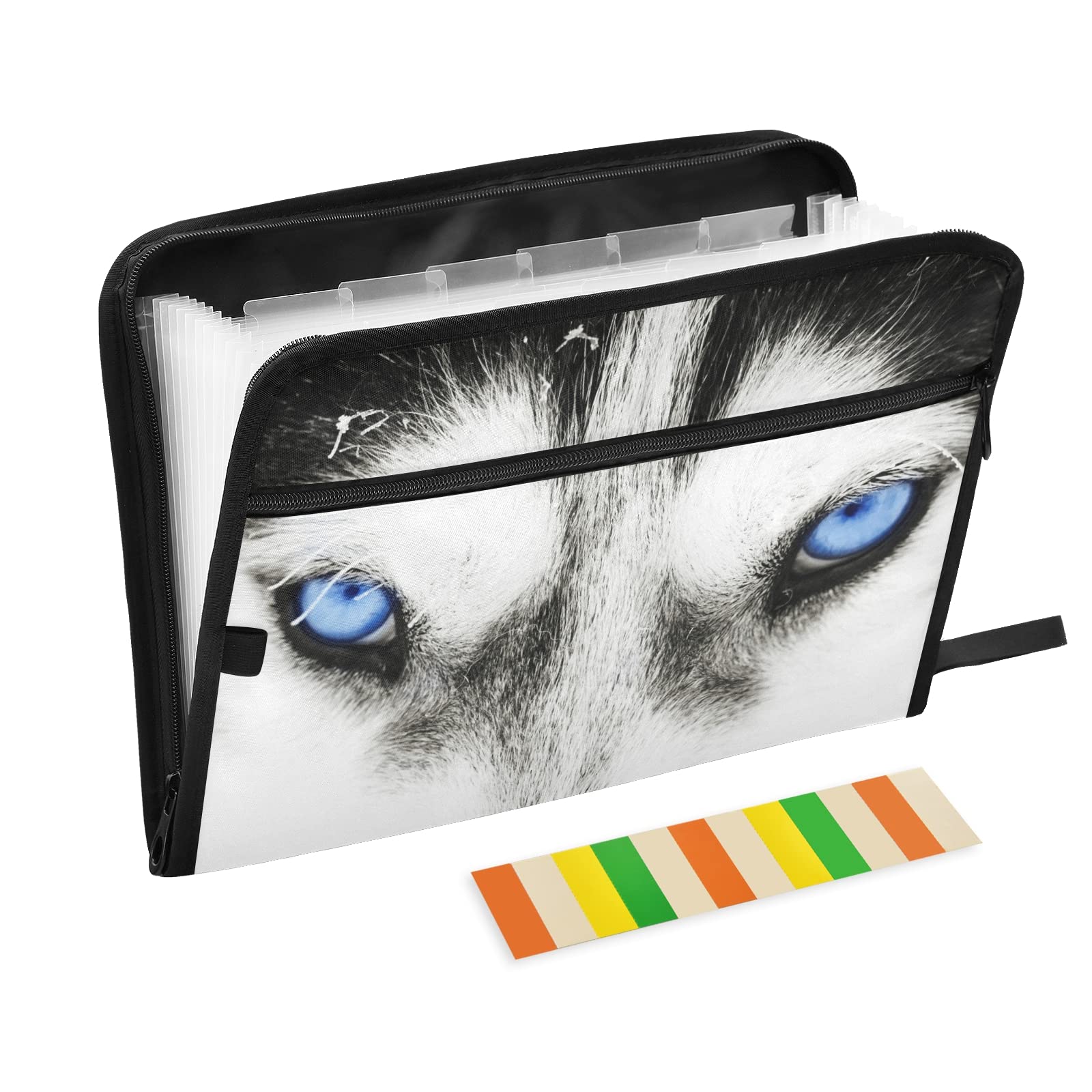 UMIRIKO 13-Pocket Expanding File Folder with Sticky Labels - A4 Letter Size Accordion Document Organizer with Zipper Closure - Perfect for Office, School, and Home Organization (20220742)