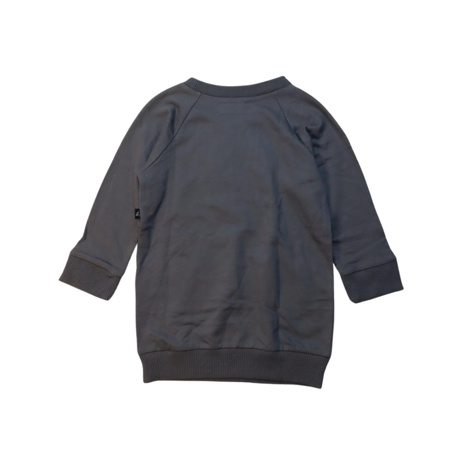Agnes b. Knit Sweater Dress for Toddlers Size 3T - Soft & Stylish Winter Outfit for Girls, Perfect for Holidays & Family Photos