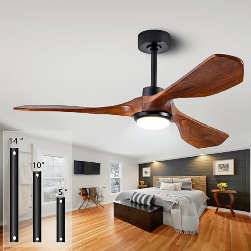 Black +Dark Walnut