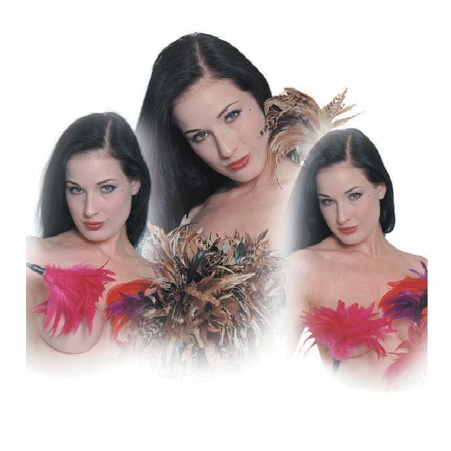 Sensual Red Pleasure Feather Tickler for Couples - Soft Sensory Play Toy for Romantic Massage, Foreplay & Intimate Bonding - Perfect for Valentine's Day, Anniversary Gifts & Spicy Bedroom Fun