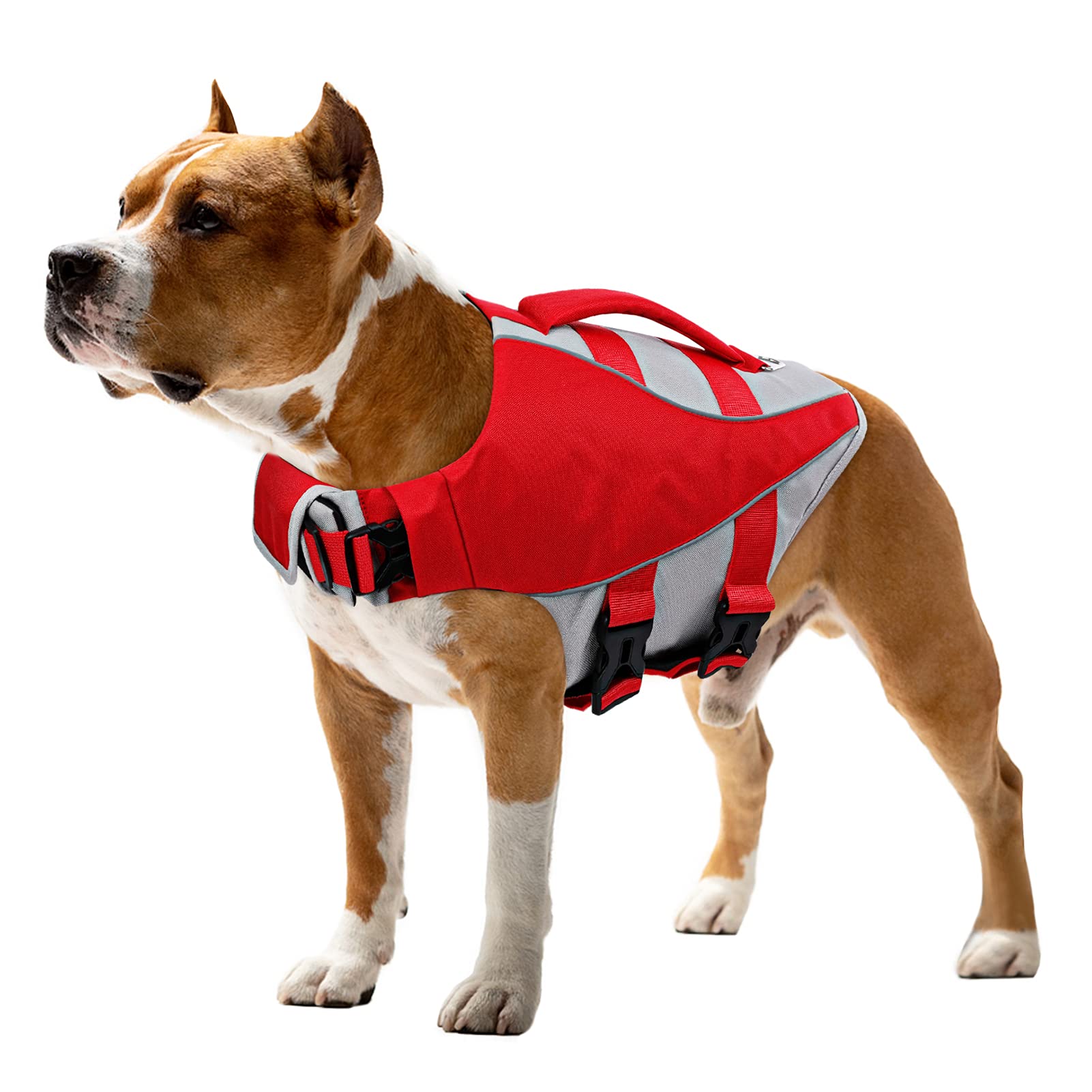 Queenmore Dog Life Jacket - Adjustable Reflective Swimming Vest for Small, Medium & Large Dogs | High Buoyancy Pet Life Preserver & Lifesaver | Perfect for Boating, Swimming & Water Safety (Red, Small)