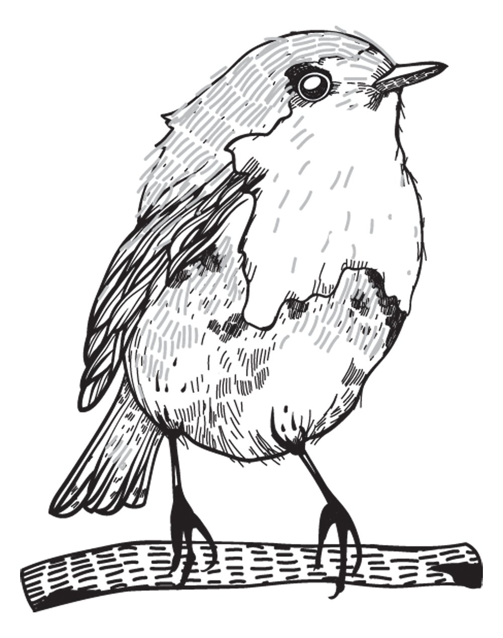 Hero Arts D5890 Wood Stamps - Handcrafted Bird Design for Scrapbooking, Card Making & DIY Crafts | Perfect for Greeting Cards, Journals & Home Decor
