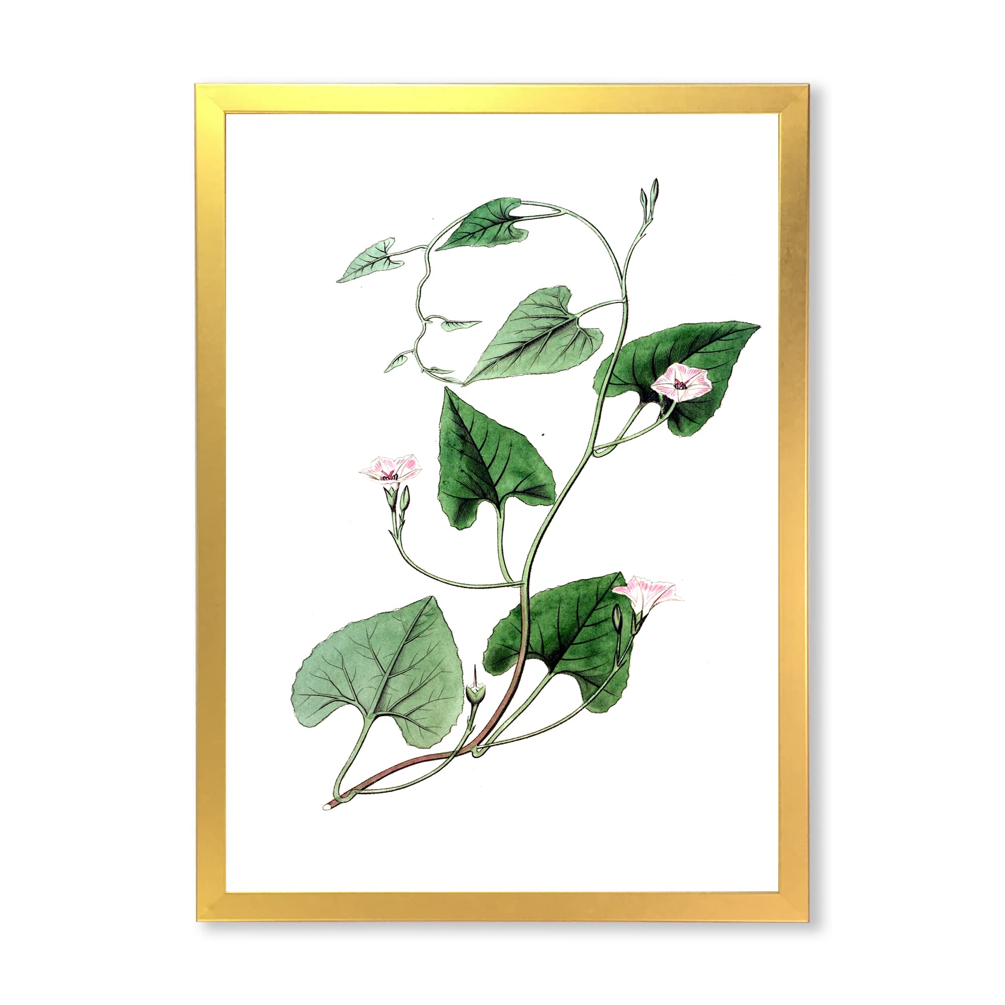 Vintage Green Leaves Botanical IX Traditional Framed Wall Art - Nature Inspired Home Decor for Living Room, Bedroom & Office