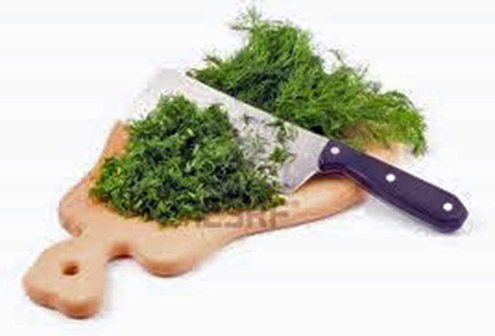 Organic Non-GMO Heirloom Dill Seed - Mammoth Long Island Variety (100+ Seeds) for Fresh or Dried Herbs - Perfect for Pickling, Cooking, and Home Gardening