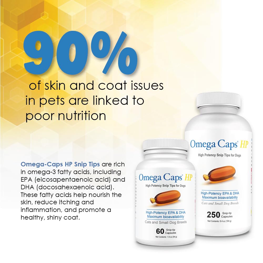 Premium Omega 3 Soft Gel Capsules for Dogs - Vet Formulated Snip Tips for Medium & Large Breeds (250 Count) | Supports Healthy Skin, Shiny Coat, Joint & Immune System | Easy to Dose Supplement for Daily Wellness & Active Lifestyle