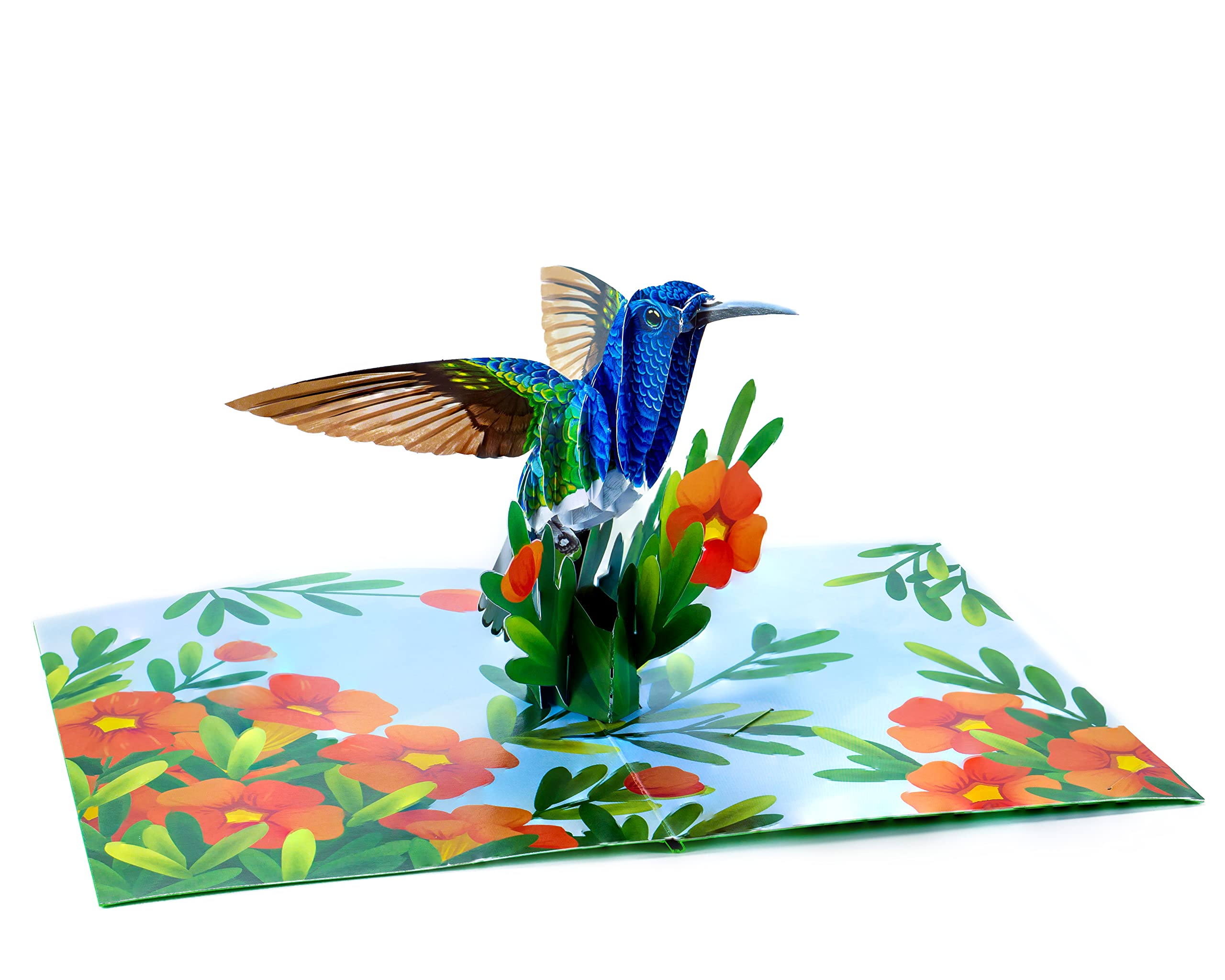 3D Pop Up Hummingbird Greeting Card - Blank Inside for Personalized Messages - Perfect for Love, Birthday, Christmas, Good Luck, Congratulations & Get Well Wishes - Includes Thick Envelope - Great for Gifting, Home Decor & Special Occasions