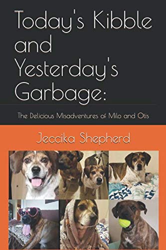 Milo and Otis: A Tale of Friendship and Adventure