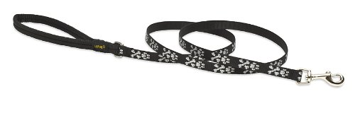 LupinePet Bling Bonz 4ft Padded Leash for Small Dogs - Perfect for Walks & Grooming