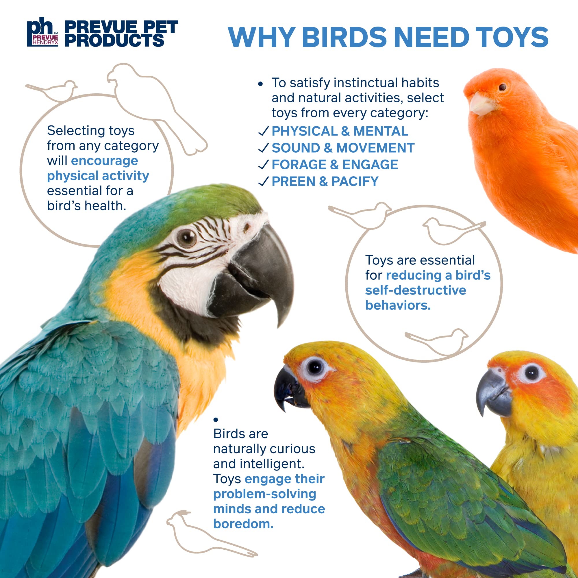 Prevue 60062517 Accordion Crinkle Bird Toy - Interactive Pet Toy for Parrots, Cockatiels & Small Birds - Fun Chewing & Foraging Activity for Bird Cages & Play Gyms