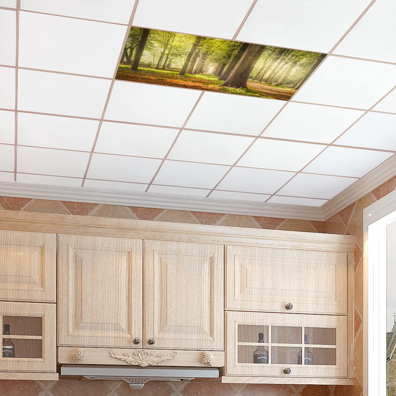 2x4 Flexible Decorative Light Diffuser Panels - Forest Trees Greenery Plants Nature Fluorescent Light Covers - Reduce Eye Strain & Headaches from Harsh Glare - Perfect for Office & Classroom Lighting