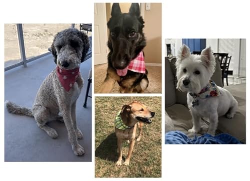 Reversible Slip-On Dog Bandana for Small, Medium, Large & XL Dogs - Easy Collar Bandana with Friends Design - Perfect for Walks, Pet Photos & Special Occasions