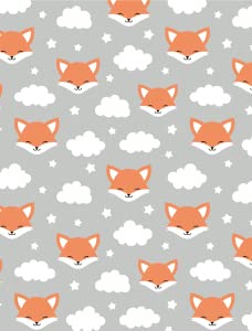 Cute Fox
