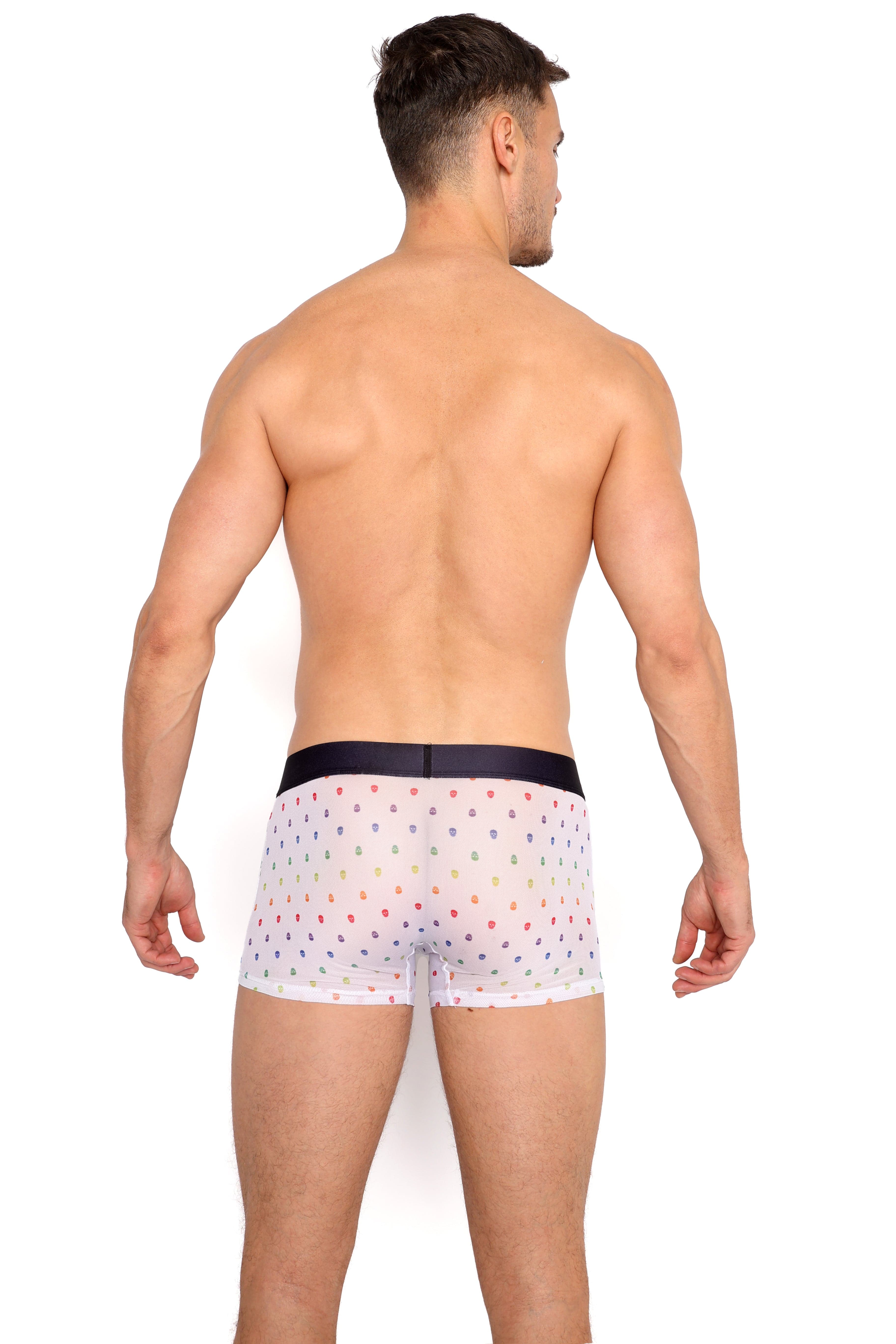 Pride Ditsy Skull White Sheer Mesh Trunk - Gothic Lingerie for Women, Sexy Underwear for Special Occasions & Romantic Nights