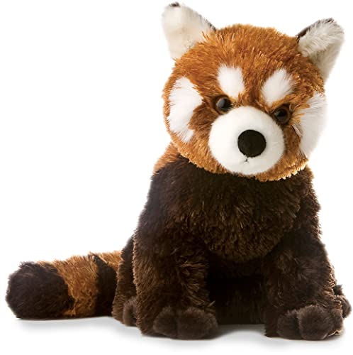 Red Panda