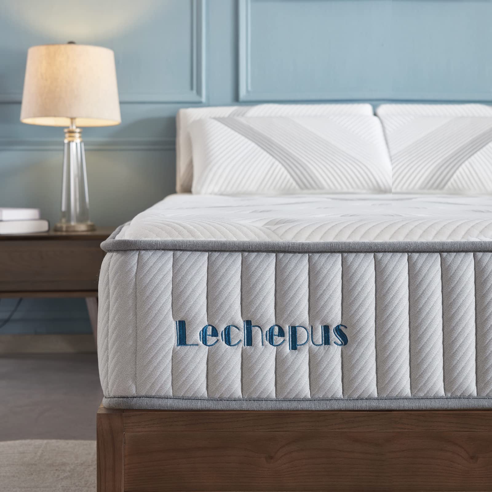 Lechepus 10 Inch Queen Hybrid Mattress in a Box - Memory Foam & Pocket Innersprings for Motion Isolation, Medium Firm Support with Breathable Soft Cover (10-Year Warranty) - Perfect for Bedrooms, Guest Rooms & Apartments