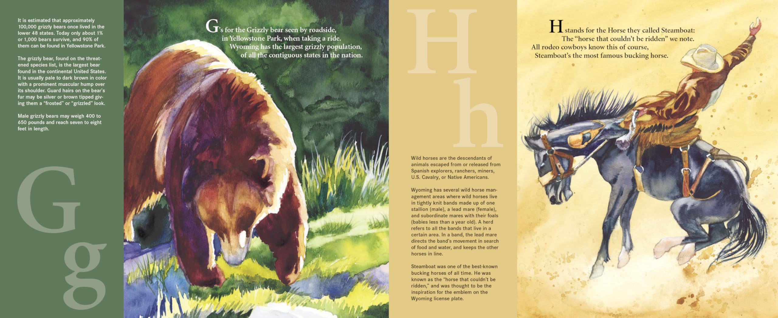 C is for Cowboy: A Wyoming Alphabet Book - Discover America State by State | Educational Children's Book for Learning US Geography & Western Culture | Perfect for Homeschooling, Classroom & Travel Activities