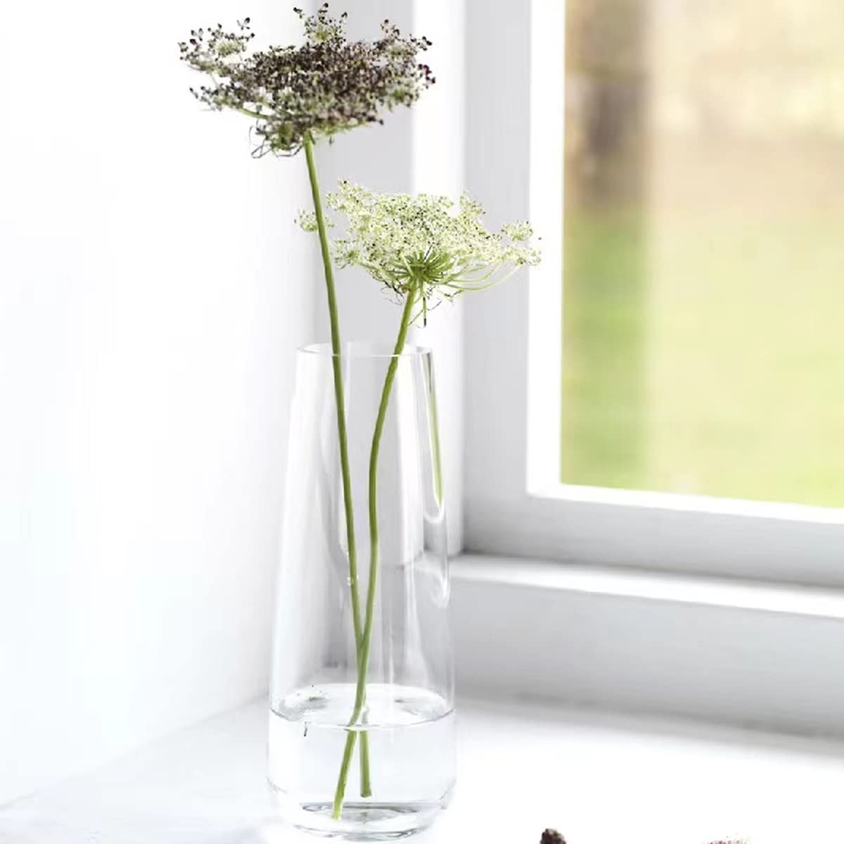 6-Pack Clear Glass Bud Vases for Flowers - Small Decorative Vases for Centerpieces, Weddings, Home Decor & Table Arrangements (Transparent)