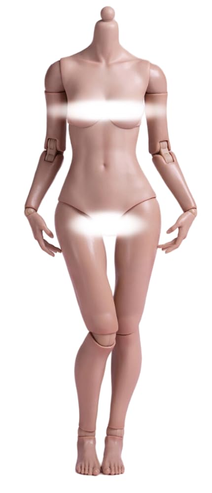 HiPlay WorldBox 1:6 Scale Female Seamless Action Figure Body - Slim Body Shape, Wheat Skin (AT201) - Perfect for Collectors, Custom Dolls & Photography Scenes