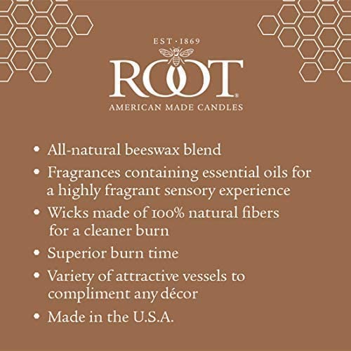 Root Candles Aromatherapy Candles - Beeswax Blend Timberline Pillar Scented Candle (3x3 Inch) - Renew: Sea Cypress & Cedar Leaf Fragrance - Relaxing Spa & Home Decor for Stress Relief & Meditation